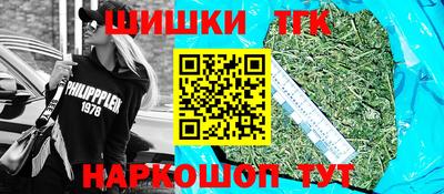 хмурый Бердск